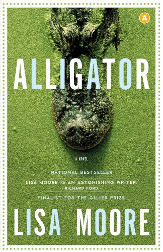Alligator
