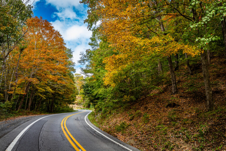 Three Must-Read Road Trip Novels
