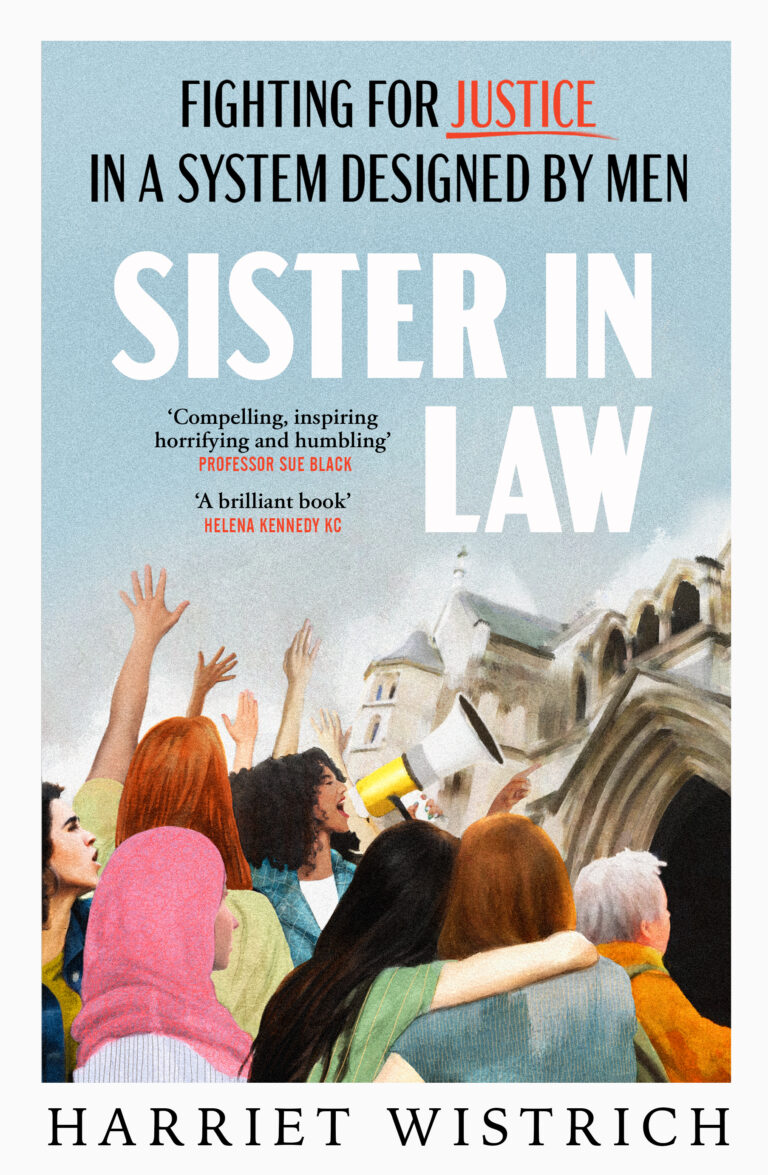 Sister In Law: Fighting for Justice in a System Designed by Men