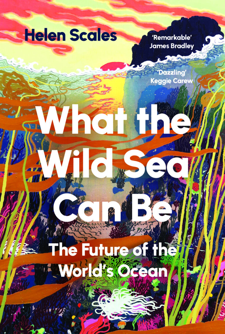 What the Wild Sea Can Be: The Future of the World's Ocean